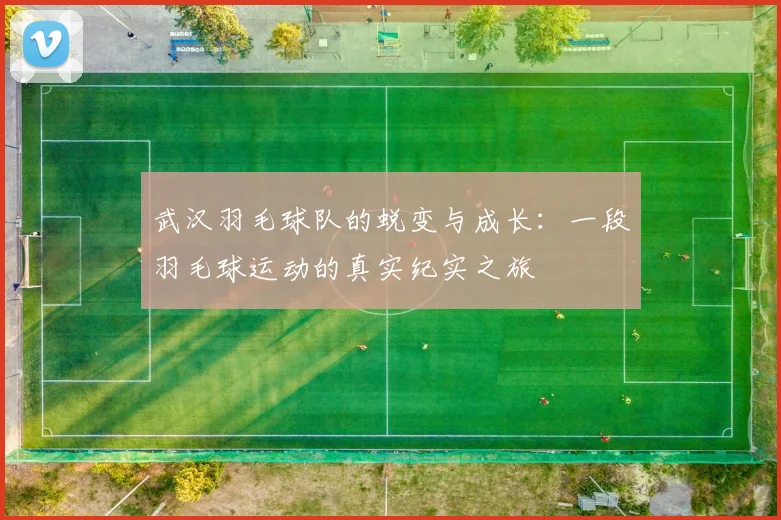 武汉羽毛球队的蜕变与成长：一段羽毛球运动的真实纪实之旅