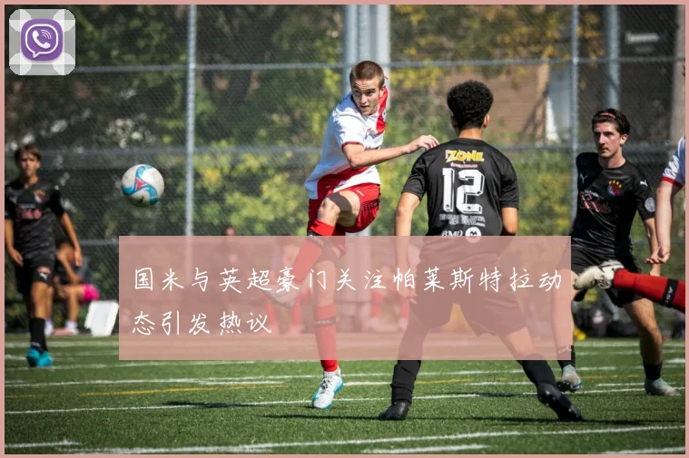 国米与英超豪门关注帕莱斯特拉动态引发热议