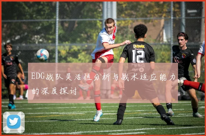 EDG战队灵活性分析与战术适应能力的深度探讨